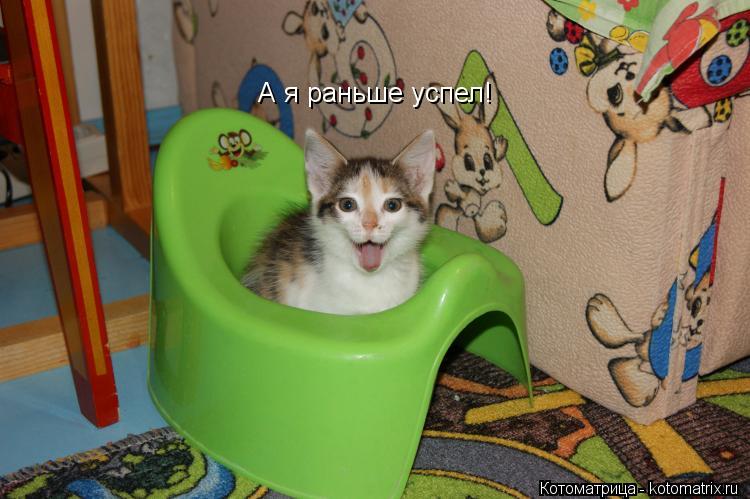 А я раньше успел!... Котоматрица: А я раньше успел!