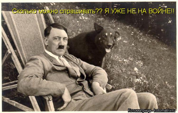 Сколько можно спрашивать?? Я УЖЕ НЕ НА ВОЙНЕ!!... Котоматрица: Сколько можно спрашивать?? Я УЖЕ НЕ НА ВОЙНЕ!!