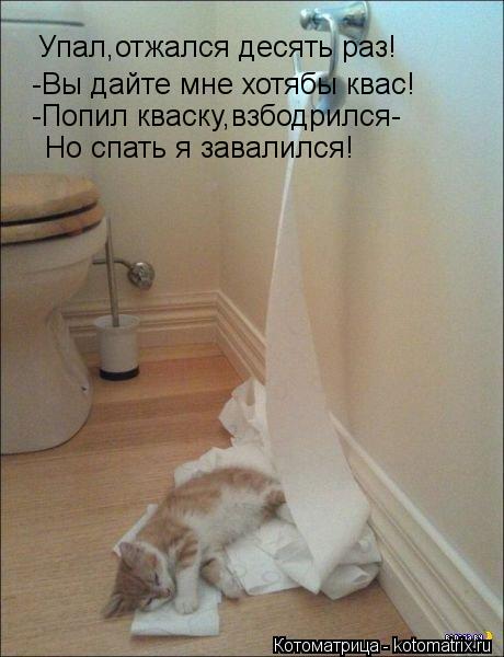 Упал,отжался десять раз! -Вы дайте мне хотябы квас! -Попил кваску,взбодрился- Но спать я завалился!... Котоматрица: Упал,отжался десять раз! -Вы дайте мне хотябы квас! -Попил кваску,взбодрился- Но спать я завалился!
