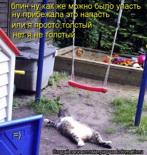блин ну как же можно было упасть ну прибежала это напасть или я просто толстый нет я не толстый =)... Котоматрица: блин ну как же можно было упасть ну прибежала это напасть или я просто толстый нет я не толстый =)