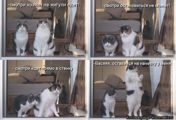 -смотри хозяин на жигули едет! -смотри остановиться не может! - смотри едет прямо в стенку -Васяяя, о... Котоматрица: -смотри хозяин на жигули едет! -смотри остановиться не может! - смотри едет прямо в стенку -Васяяя, оставайся на начевку у меня