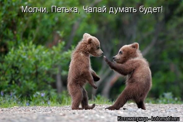 Молчи, Петька, Чапай думать будет!... Котоматрица: Молчи, Петька, Чапай думать будет!