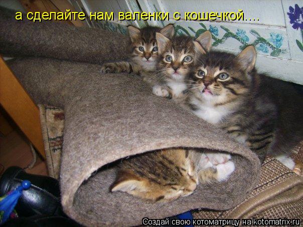 а сделайте нам валенки с кошечкой....... Котоматрица: а сделайте нам валенки с кошечкой....