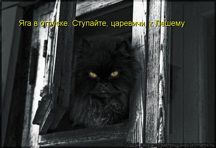 Яга в отпуске. Ступайте, царевичи, к Лешему... Котоматрица: Яга в отпуске. Ступайте, царевичи, к Лешему