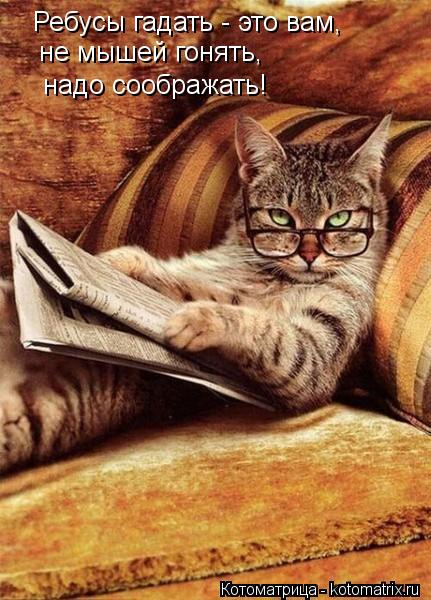 Ребусы гадать - это вам, не мышей гонять, надо соображать!... Котоматрица: Ребусы гадать - это вам, не мышей гонять, надо соображать!