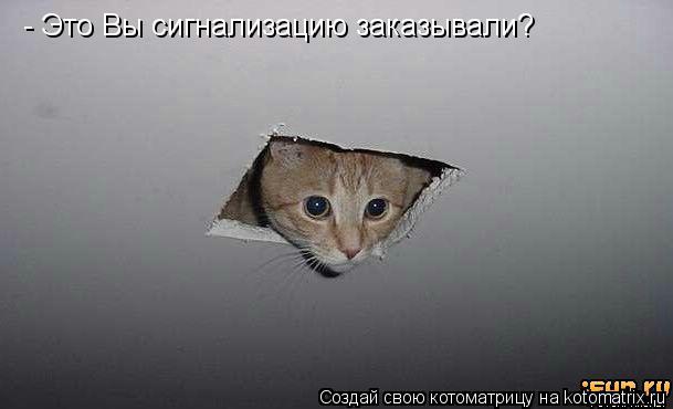 - Это Вы сигнализацию заказывали?... Котоматрица: - Это Вы сигнализацию заказывали?