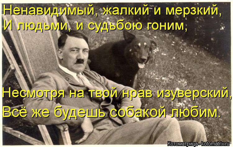 Ненавидимый, жалкий и мерзкий, И людьми, и судьбою гоним, Несмотря на твой нрав изуверский, Всё же бу... Котоматрица: Ненавидимый, жалкий и мерзкий, И людьми, и судьбою гоним, Несмотря на твой нрав изуверский, Всё же будешь собакой любим.