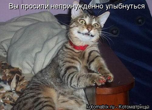 Вы просили непринужденно улыбнуться... Котоматрица: Вы просили непринужденно улыбнуться