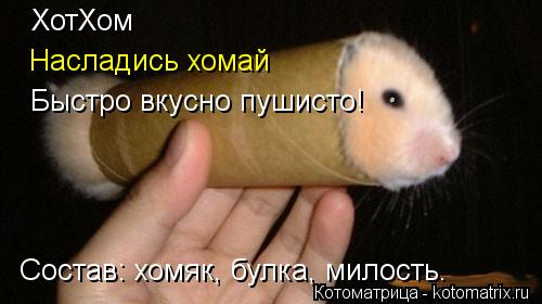 ХотХом Насладись хомай Быстро вкусно пушисто! Состав: хомяк, булка, милость.... Котоматрица: ХотХом Насладись хомай Быстро вкусно пушисто! Состав: хомяк, булка, милость.