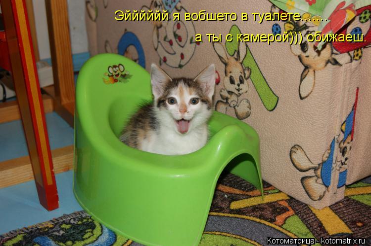 Эйййййй я вобшето в туалете....... а ты с камерой))) обижаеш.... Котоматрица: Эйййййй я вобшето в туалете....... а ты с камерой))) обижаеш.