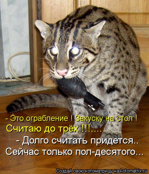 - Это ограбление ! Закуску на стол ! Считаю до трёх !!!.... - Долго считать придется.. Сейчас только ... Котоматрица: - Это ограбление ! Закуску на стол ! Считаю до трёх !!!.... - Долго считать придется.. Сейчас только пол-десятого...