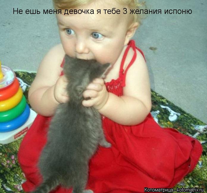 Не ешь меня девочка я тебе 3 желания испоню... Котоматрица: Не ешь меня девочка я тебе 3 желания испоню