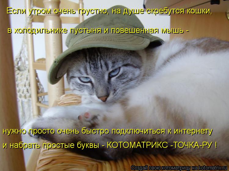 Если утром очень грустно, на душе скребутся кошки, в холодильнике пустыня и повешенная мышь - нужно ... Котоматрица: Если утром очень грустно, на душе скребутся кошки, в холодильнике пустыня и повешенная мышь - нужно просто очень быстро подключиться к инте