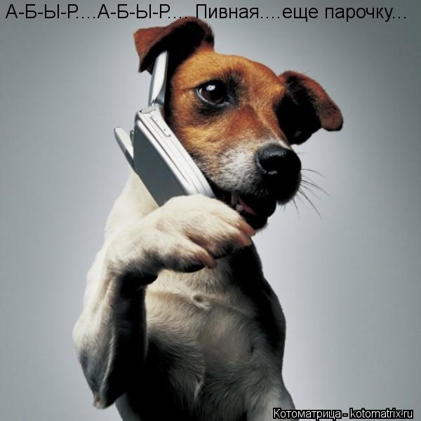 А-Б-Ы-Р....А-Б-Ы-Р.... Пивная....еще парочку...... Котоматрица: А-Б-Ы-Р....А-Б-Ы-Р.... Пивная....еще парочку...