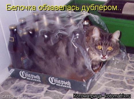 Белочка обзавелась дублёром..... Котоматрица: Белочка обзавелась дублёром..
