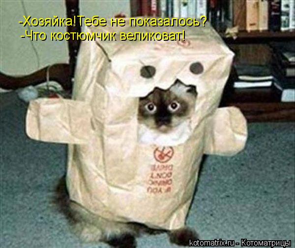 -Хозяйка!Тебе не показалось? -Что костюмчик великоват!... Котоматрица: -Хозяйка!Тебе не показалось? -Что костюмчик великоват!