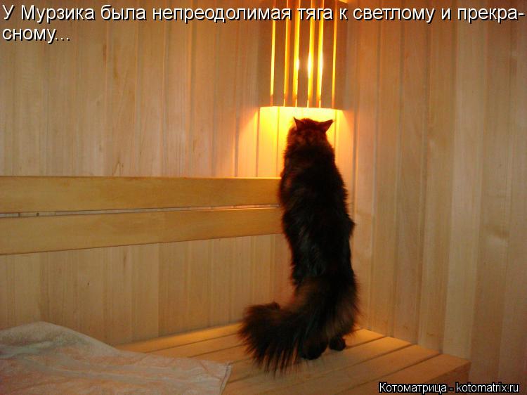 У Мурзика была непреодолимая тяга к светлому и прекра- сному...... Котоматрица: У Мурзика была непреодолимая тяга к светлому и прекра- сному...