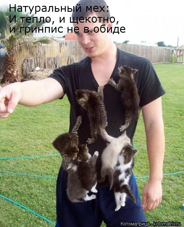 Натуральный мех: И тепло, и щекотно, и гринпис не в обиде... Котоматрица: Натуральный мех: И тепло, и щекотно, и гринпис не в обиде