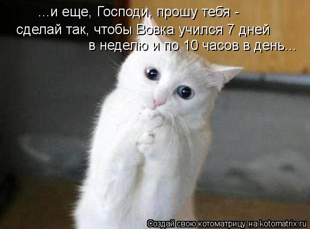 ...и еще, Господи, прошу тебя - сделай так, чтобы Вовка учился 7 дней в неделю и по 10 часов в день.... Котоматрица: ...и еще, Господи, прошу тебя - сделай так, чтобы Вовка учился 7 дней в неделю и по 10 часов в день...