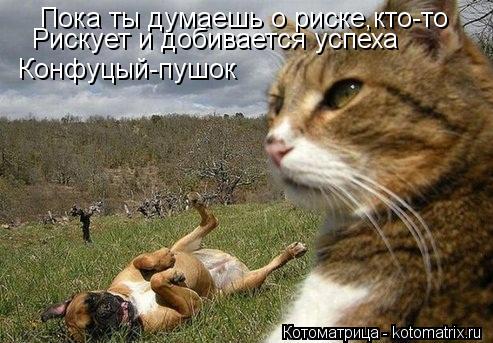 Пока ты думаешь о риске,кто-то Рискует и добивается успеха Конфуцый-пушок... Котоматрица: Пока ты думаешь о риске,кто-то Рискует и добивается успеха Конфуцый-пушок