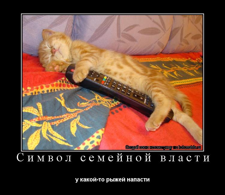 Символ семейной власти у какой-то рыжей напасти... Котоматрица: Символ семейной власти у какой-то рыжей напасти