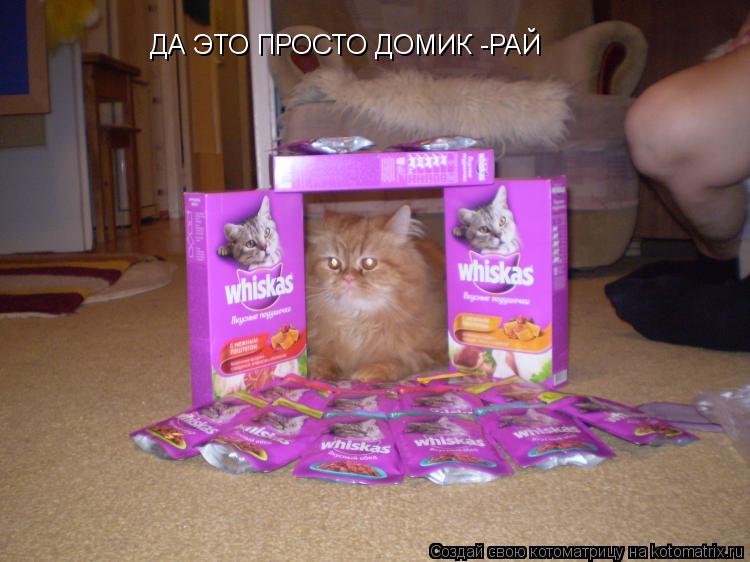 Котоматрица: ДА ЭТО ПРОСТО ДОМИК -РАЙ