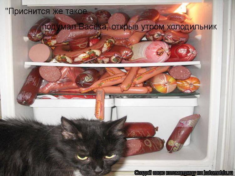 Котоматрица: "Приснится же такое..." - подумал Васька, открыв утром холодильник