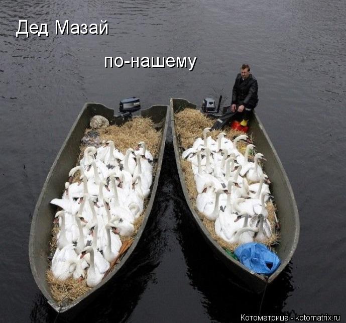 Дед Мазай по-нашему... Котоматрица: Дед Мазай по-нашему