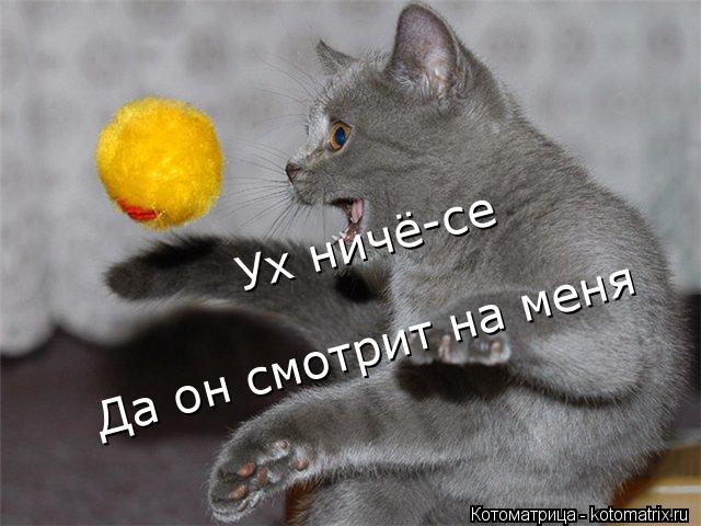Ух ничё-се Да он смотрит на меня... Котоматрица: Ух ничё-се Да он смотрит на меня