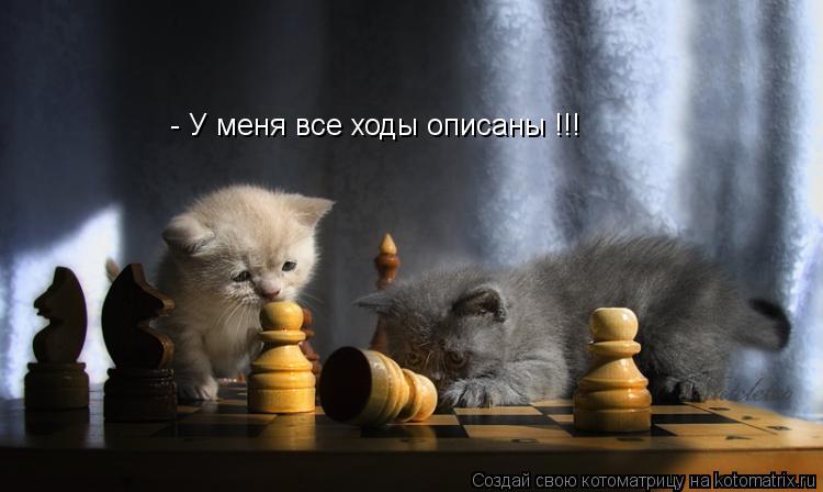 - У меня все ходы описаны !!!... Котоматрица: - У меня все ходы описаны !!!
