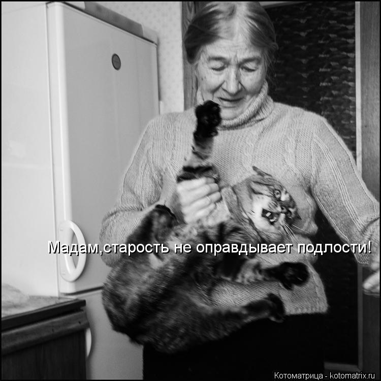 Мадам,старость не оправдывает подлости!... Котоматрица: Мадам,старость не оправдывает подлости!