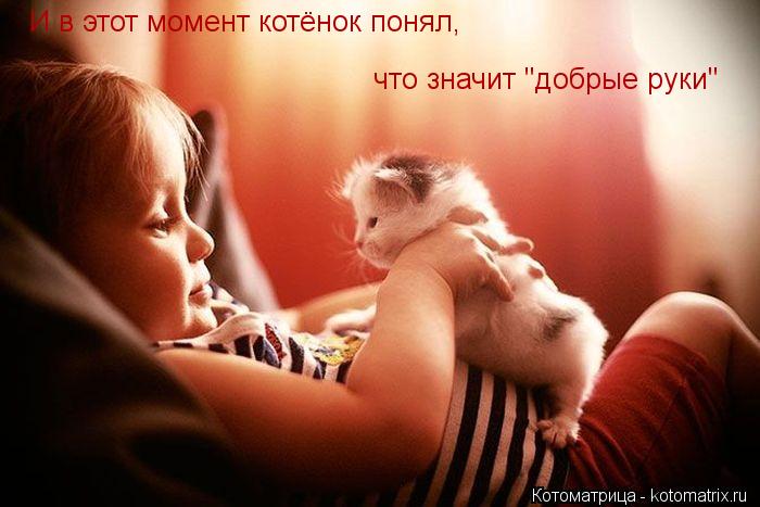 И в этот момент котёнок понял, что значит "добрые руки"... Котоматрица: И в этот момент котёнок понял, что значит "добрые руки"
