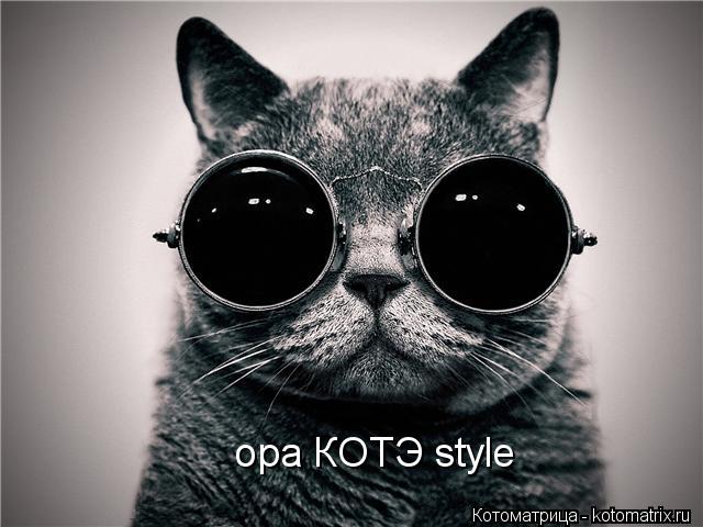 opa КОТЭ style... Котоматрица: opa КОТЭ style
