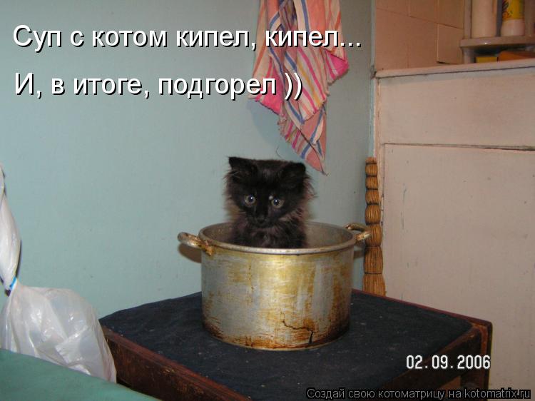 Котоматрица: Суп с котом кипел, кипел...  И, в итоге, подгорел ))