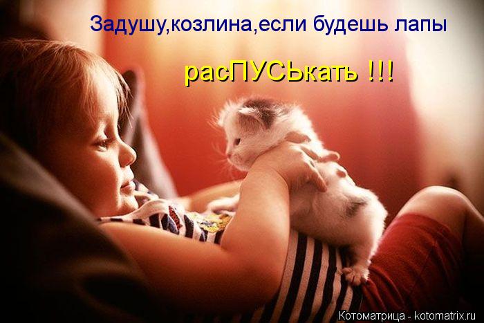 Задушу,козлина,если будешь лапы расПУСЬкать !!!... Котоматрица: Задушу,козлина,если будешь лапы расПУСЬкать !!!
