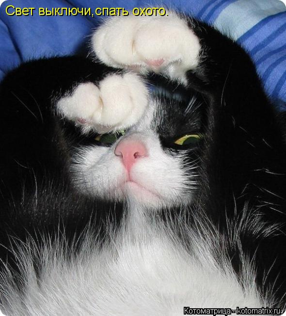 Котоматрица: Свет выключи,спать охото.