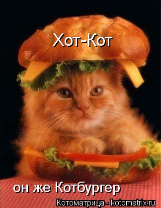 Хот-Кот он же Котбургер... Котоматрица: Хот-Кот он же Котбургер