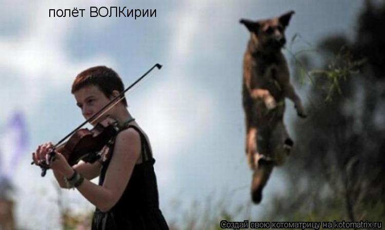 полёт ВОЛКирии... Котоматрица: полёт ВОЛКирии