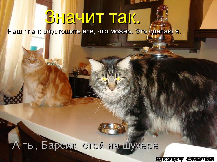Значит так. Наш план: опустошить все, что можно. Это сделаю я. А ты, Барсик, стой на шухере.... Котоматрица: Значит так. Наш план: опустошить все, что можно. Это сделаю я. А ты, Барсик, стой на шухере.