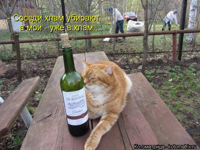 - Соседи хлам убирают, а мои - уже в хлам....... Котоматрица: - Соседи хлам убирают, а мои - уже в хлам....