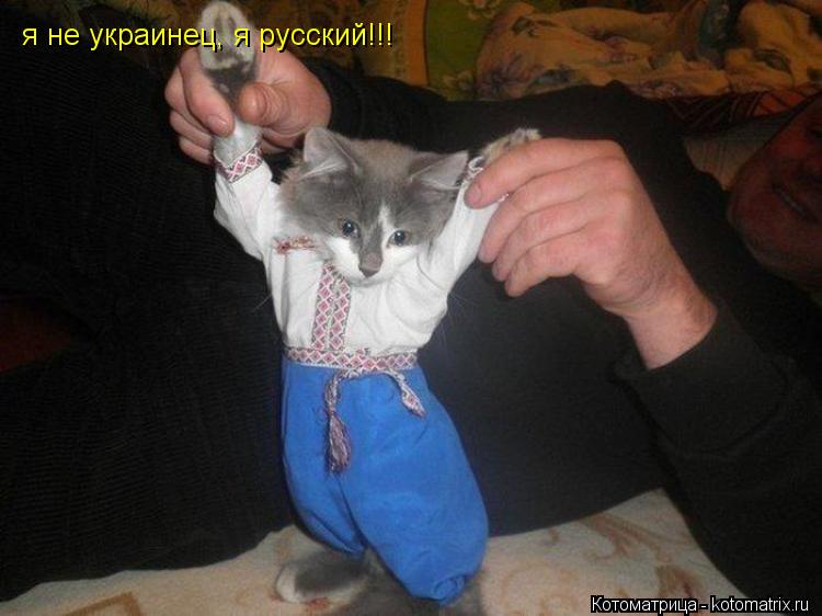 Котоматрица: я не украинец, я русский!!!