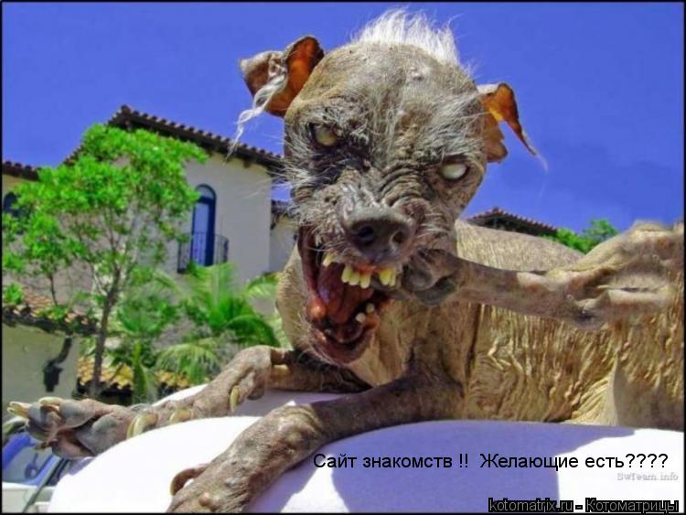 Сайт знакомств !! Желающие есть????... Котоматрица: Сайт знакомств !! Желающие есть????