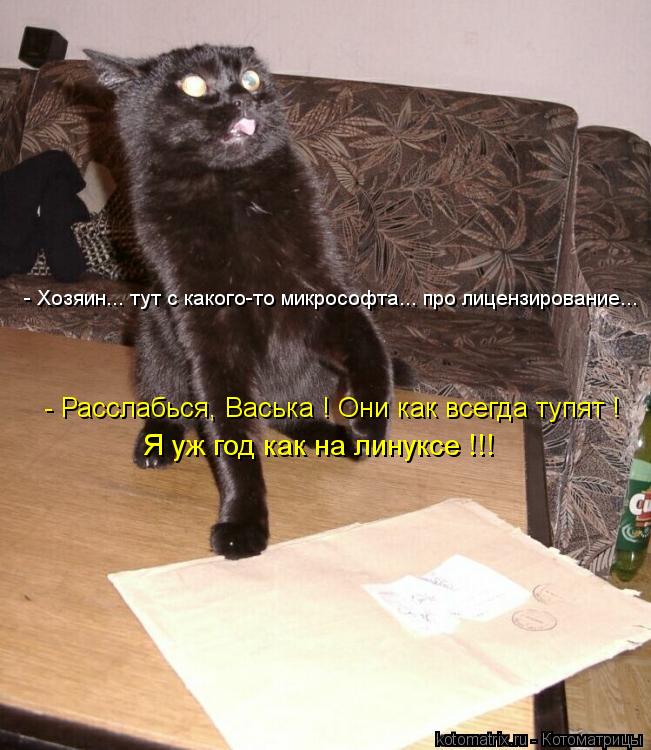 - Хозяин... тут с какого-то микрософта... про лицензирование... - Расслабься, Васька ! Они как всегда... Котоматрица: - Хозяин... тут с какого-то микрософта... про лицензирование... - Расслабься, Васька ! Они как всегда тупят ! Я уж год как на линуксе !!!