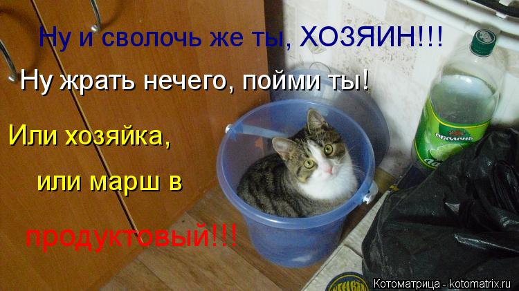 Ну и сволочь же ты, ХОЗЯИН!!! Ну жрать нечего, пойми ты! Или хозяйка, или марш в продуктовый!!!... Котоматрица: Ну и сволочь же ты, ХОЗЯИН!!! Ну жрать нечего, пойми ты! Или хозяйка, или марш в продуктовый!!!