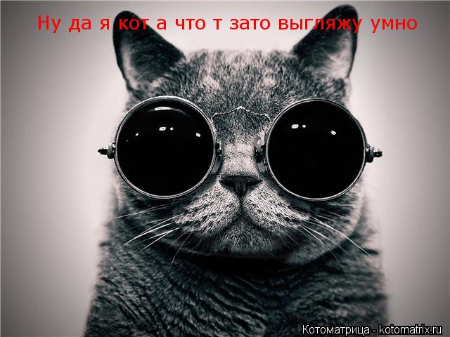 Котоматрица: Ну да я кот а что т зато выгляжу умно