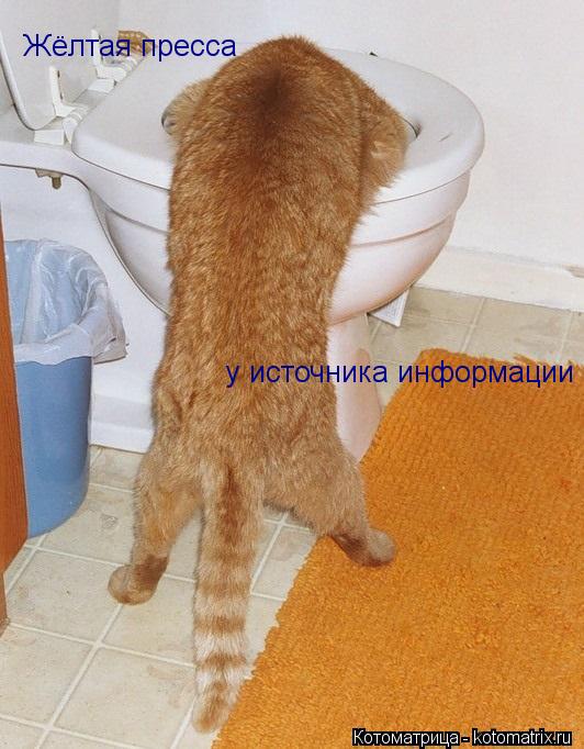 Жёлтая пресса у источника информации... Котоматрица: Жёлтая пресса у источника информации