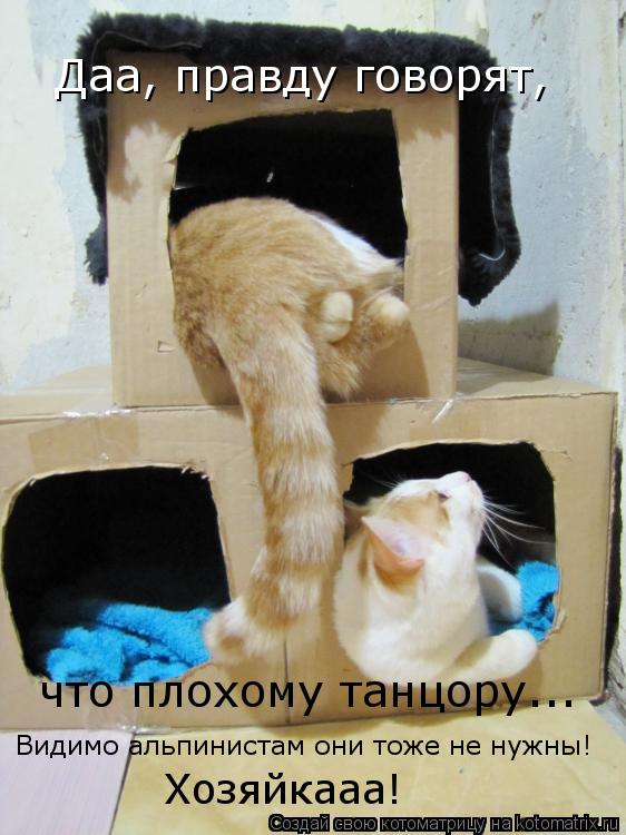 Даа, правду говорят, что плохому танцору... Видимо альпинистам они тоже не нужны! Хозяйкааа!... Котоматрица: Даа, правду говорят, что плохому танцору... Видимо альпинистам они тоже не нужны! Хозяйкааа!