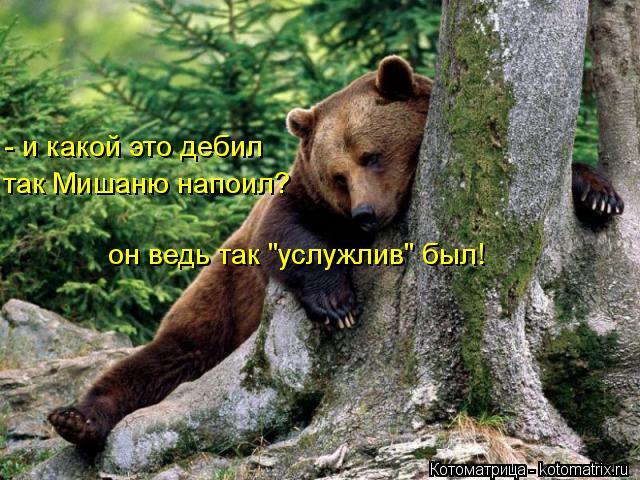 - и какой это дебил так Мишаню напоил? он ведь так "услужлив" был!... Котоматрица: - и какой это дебил так Мишаню напоил? он ведь так "услужлив" был!