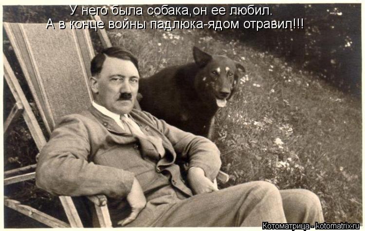 Котоматрица: У него была собака,он ее любил. А в конце войны падлюка-ядом отравил!!!