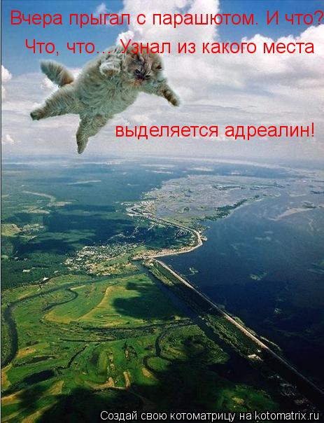 Котоматрица: Вчера прыгал с парашютом. И что?  Что, что… Узнал из какого места   выделяется адреалин!